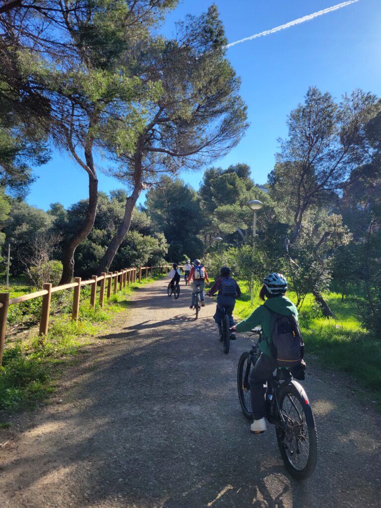evtt-provence-velos-balade-01 vélos en balade sur beau chemin ombragé